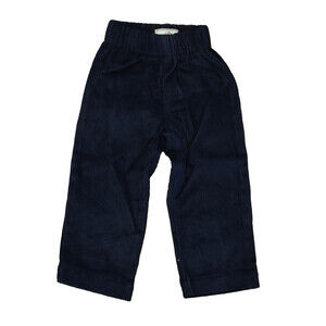 Classic Prep Boys Medieval Blue Corduroy Pants size: 12-24 Months